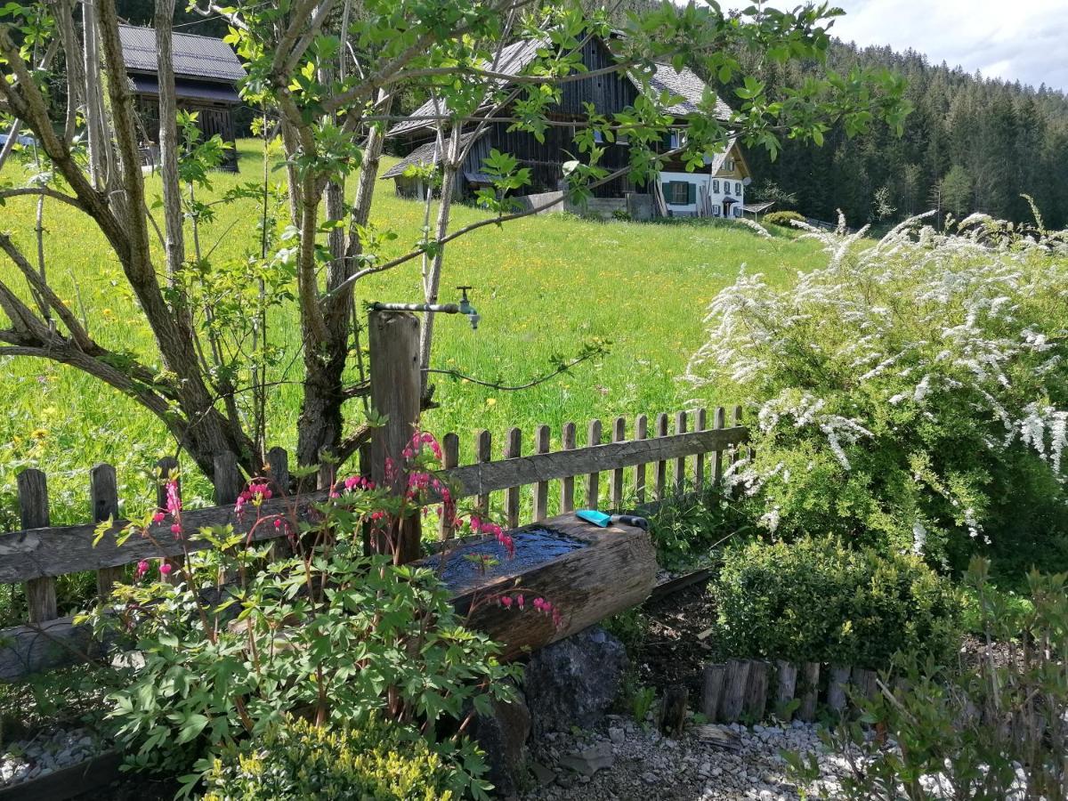 Asterbach Gosau