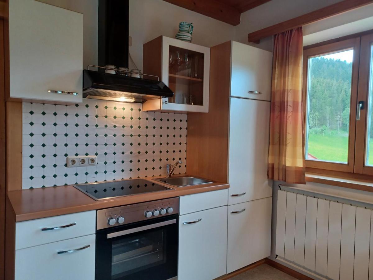 Appartement Asterbach Gosau